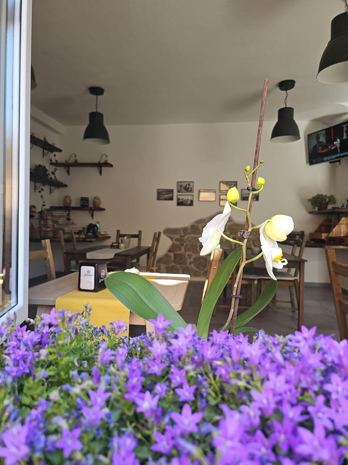 Il Busciolotto Hotel Santa Teresa Gallura Eksteriør billede